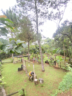 Tempat Paintball Di Bogor