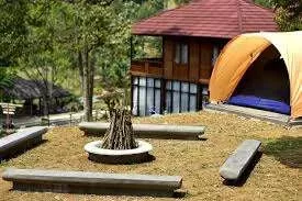 Tempat Camping Keluarga Terbaik Di Kawasan Puncak