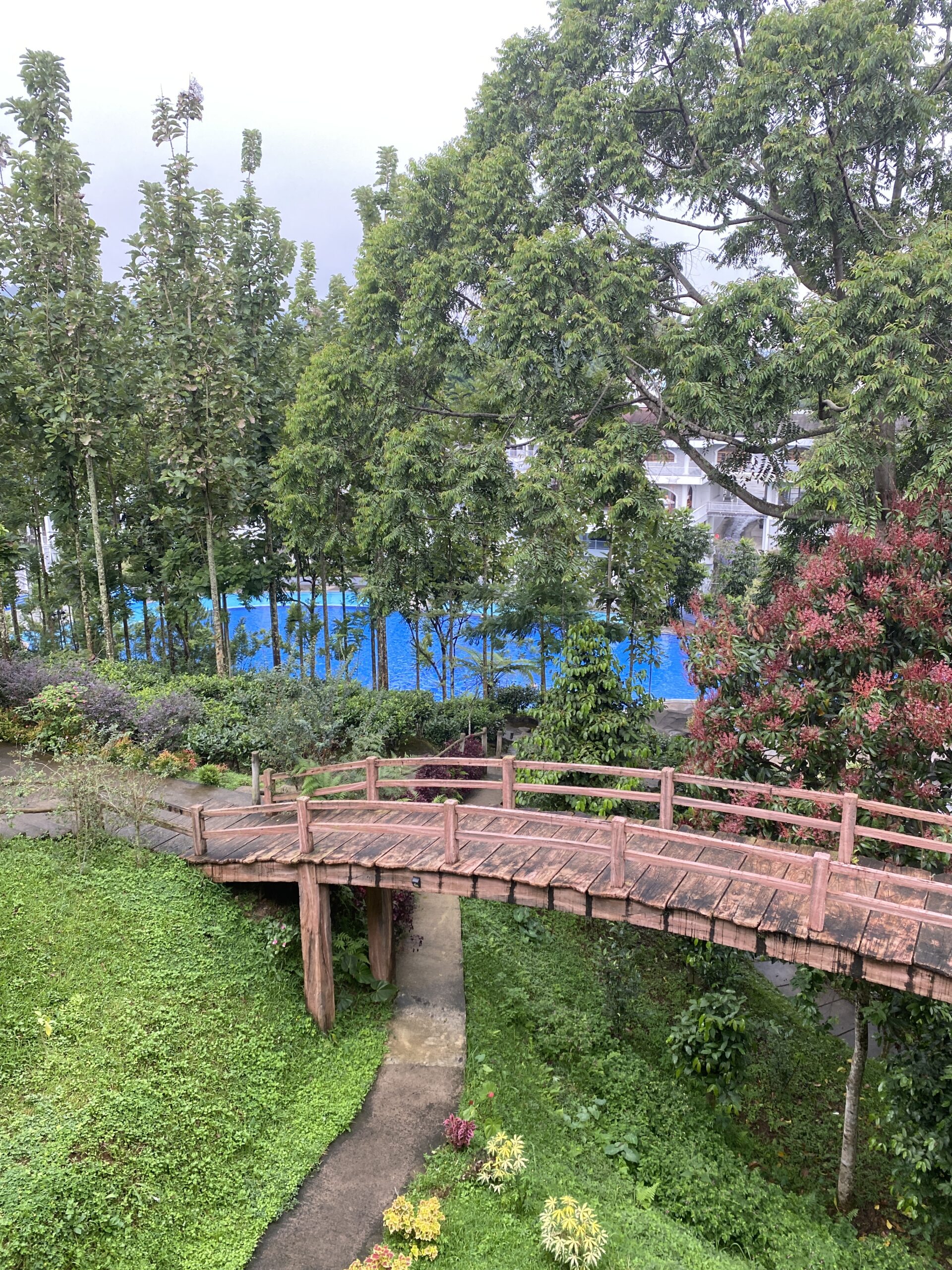 Tempat Edukasi Di Puncak