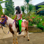 Tempat Edukasi Anak-Anak