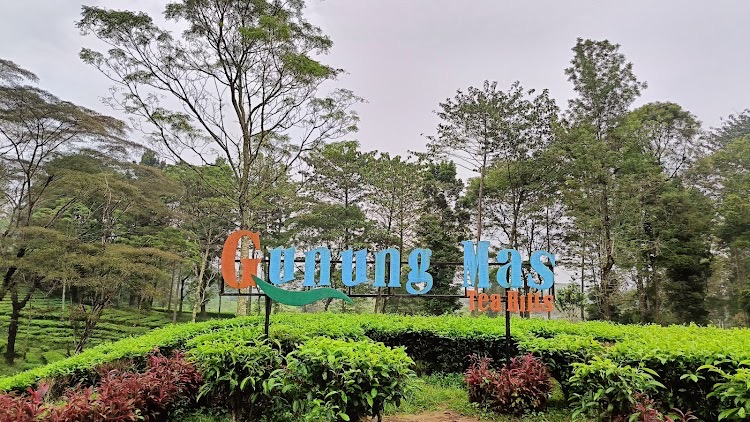 Agrowisata Gunung Mas Puncak