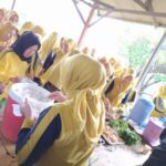 Jasa Outbound Di Bsd Tangerang