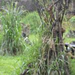 Tempat Paintball Dan Rafting Di Puncak Bogor