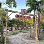 Tempat Camping Di Palu Sulawesi Tengah