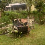 Paket Bermain Paintball