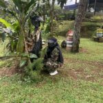 Tempat Paintball Dekat Hotel Di Puncak